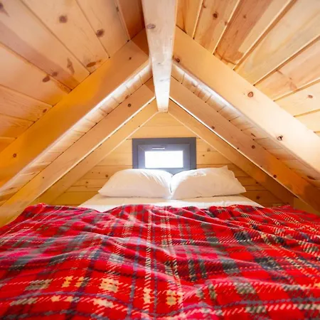 Lognikfer
